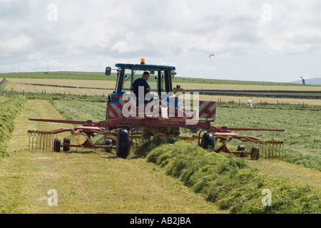 La récolte dh UK râtelage du tracteur l'herbe d'ensilage pour machines agricoles tracteurs récolte champ Banque D'Images