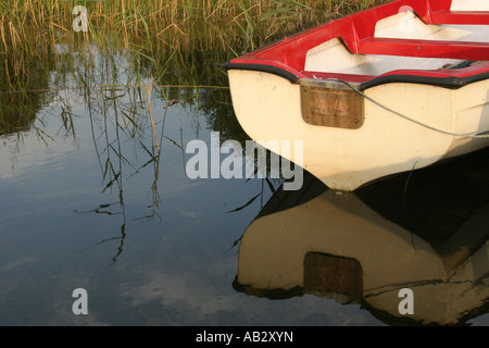 Petit bateau amarré sur les rives du Lough Arrow, Ballynary, Comté de Sligo, Irlande Banque D'Images