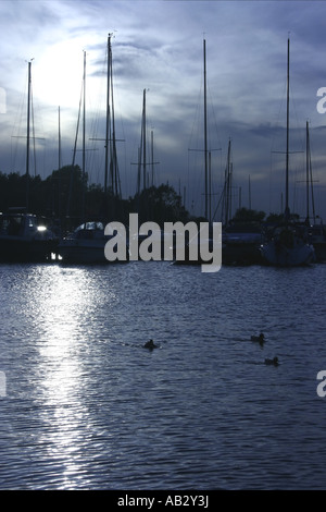 Les bateaux de plaisance amarrés à Kinnego Marina, Lough Neagh, Craigavon, County Armagh, en Irlande du Nord Banque D'Images