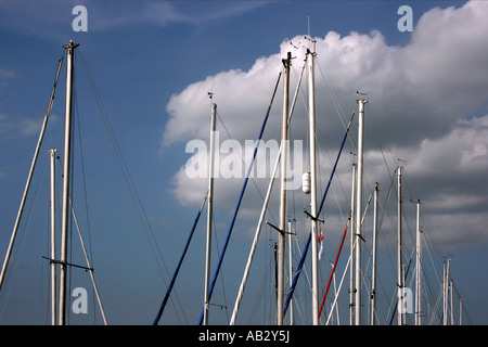 Les mâts des bateaux de plaisance d'atteindre dans le bleu ciel à Kinnego Marina, Lough Neagh, Craigavon, County Armagh, en Irlande du Nord Banque D'Images