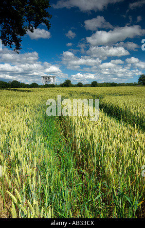 Les champs de blé par le radiotélescope Lovell Cheshire Jodrell Bank UK Banque D'Images