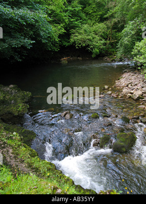 Afon Pyrddin sur la rivière Cascade à pied près de Pontneddfechan South Wales UK UE GO Banque D'Images