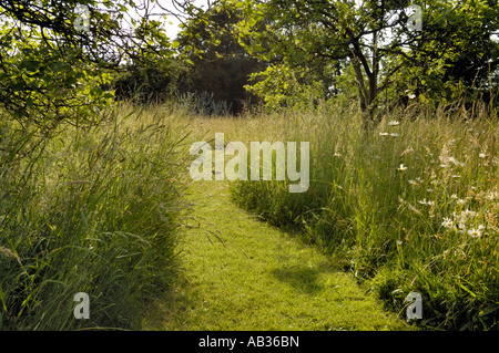 Voie de fauché Banque D'Images