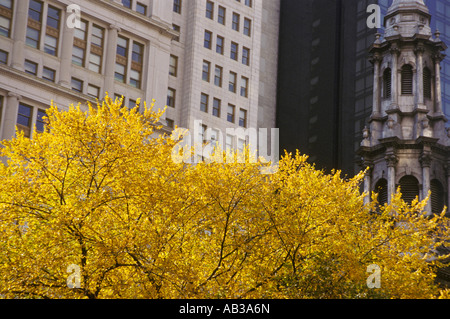 NYC gratte-ciel réflexion ombres styles moderne traditionnel de l'église dieu Mammon édifices automne feuille jaune Banque D'Images