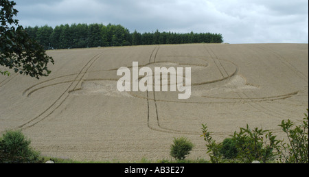 4 juillet 2003 signalé cette récolte était de conception géométrique côté de l'A34 à Litchfield nr Newbury dans la forme d'une hélice Banque D'Images