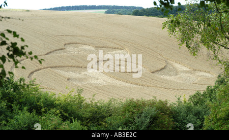 4 juillet 2003 signalé cette récolte était de conception géométrique côté de l'A34 à Litchfield nr Newbury dans la forme d'une hélice Banque D'Images