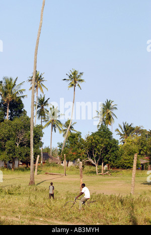 Scenic Tanga en Tanzanie Banque D'Images