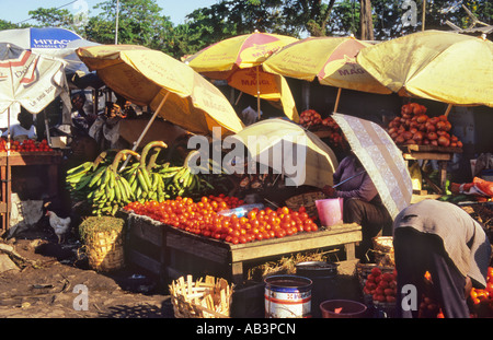 Marché de Fruits et légumes de Douala Cameroun Banque D'Images