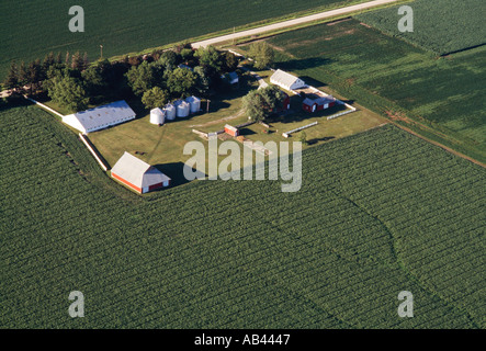 Agriculture - vue aérienne en été d'une ferme entourée par les cultures de maïs et de soja de croissance moyen / Iowa, États-Unis. Banque D'Images