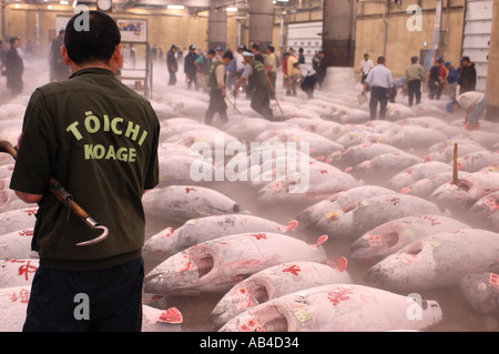 Le thon congelé posé sur la vente aux enchères au marché aux poissons de Tsukiji à Tokyo au Japon Banque D'Images