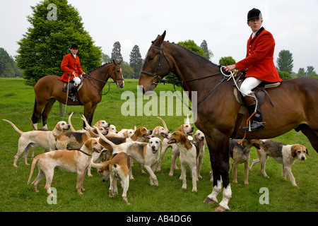 Foxhounds Du Craven Hunt au Windsor Horse Show Mai Berkshire Banque D'Images