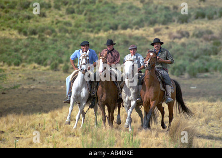 En galopant Gauchos une ligne sur l'herbe de la pampa sur leurs chevaux s'amusant. Banque D'Images