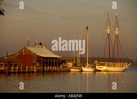 Dock et des bateaux du Musée Maritime de la baie de Chesapeake St Michaels dans le Maryland Banque D'Images