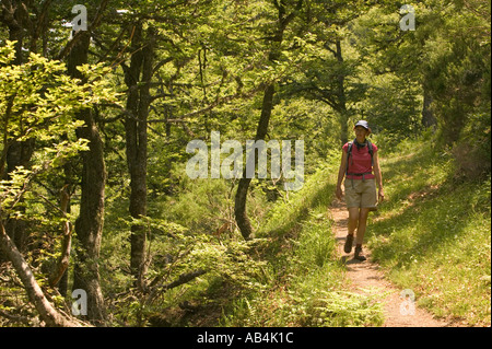 Les femmes marchant à travers forêt de hêtres sur le bas des pentes de la montagnes Picos de Europa en Espagne Banque D'Images