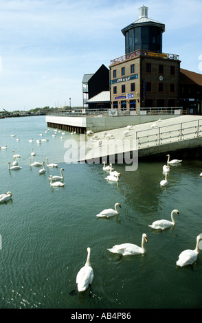 Regarder la mer et le centre de visiteurs à Littlehampton West Sussex avec cygnes dans l'avant-plan Banque D'Images