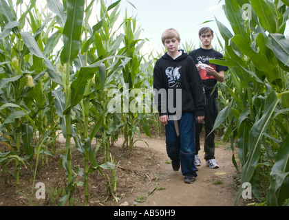 L'intérieur du labyrinthe de maïs à Metton Norfolk UK Banque D'Images