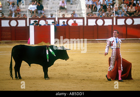 Bull fighting Malaga Espagne Banque D'Images