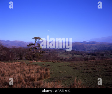 Vue de hawkshead hill voyage à Grasmere avec fairfield et high street, dans le district du lac fond d'hiver de l'angleterre cumbria Banque D'Images