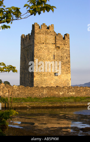 Château d'eau vertical étroit sur l'clanrye river dans la lumière du soir le comté de Down en Irlande du Nord Banque D'Images