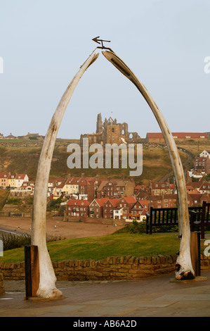 ARCH FAITS DE MÂCHOIRES DE RORQUAL BLEU WEST YORKSHIRE ANGLETERRE WHITBY FALAISE Banque D'Images