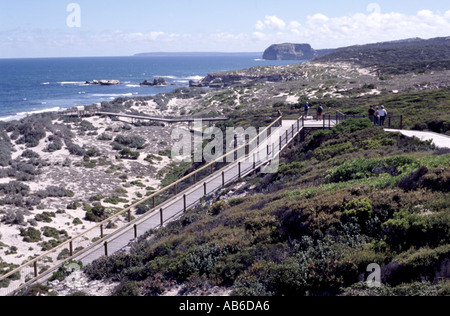 Seal Bay Conservation Park Kangaroo Island Australie du Sud Banque D'Images