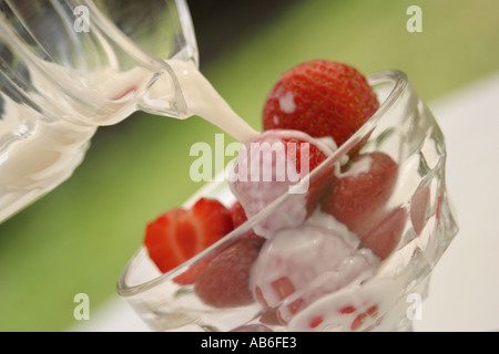 Les fraises DANS UN BOL EN VERRE AVEC LE DÉSERT CRÈME VERSÉ SUR EUX D'UNE CRUCHE EN VERRE SERVANT SUR UN TABLEAU BLANC AVEC DE L'HERBE DANS LE DOS Banque D'Images