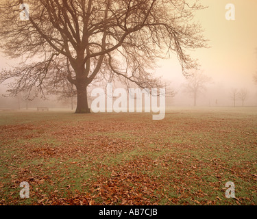 Fr - GLOUCESTERSHIRE CHELTENHAM : Pittville Park in autumn Banque D'Images