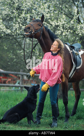 Cheval Trakehner (Equus przewalskii f. caballus), avec chien et cavalière Banque D'Images