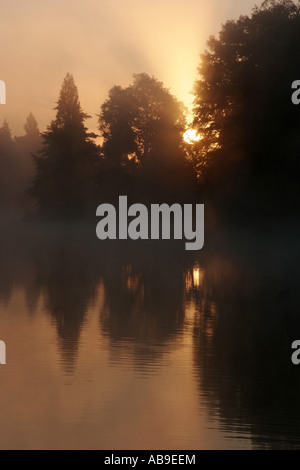 Au lever du soleil, le lac Woerlitz Woerlitz Park, l'Allemagne, la Saxe-Anhalt, Dessau Banque D'Images