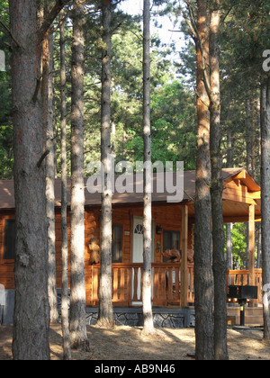 Chalet dans les bois Banque D'Images