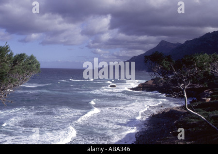 1996 MALLORCA Le robuste de Tramuntana et couverte d'arbres sur la côte nord de l'île espagnole de Majorque Banque D'Images
