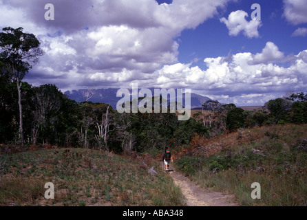 2002 venezuela une vue de la gran sabana exposés une zone écologiquement sensitve af terre ponctuée de cascades et de montagnes Banque D'Images