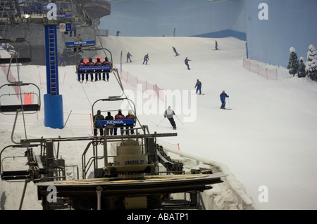 Dubai, centre commercial Mall of the Emirates, Snow Dome Banque D'Images