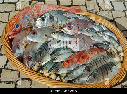 Assortiment de poissons frais dans un panier. sur une chaussée pavée, de l'Algarve, Portugal Banque D'Images