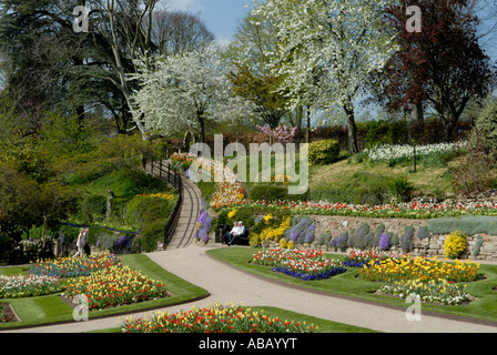 Les fleurs de printemps dans le jardin de Dingle Shrewsbury Shropshire England UK Banque D'Images