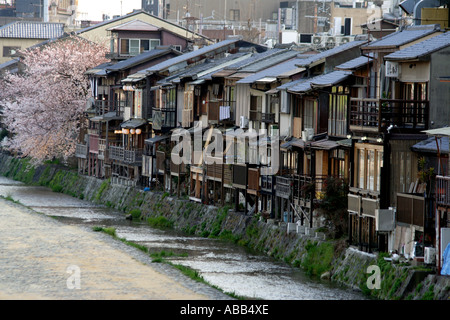 Les bâtiments en front de Pontocho le long de la rivière Kamogawa Kamo ou pendant la saison des cerisiers en fleur, Kyoto, Japon Banque D'Images