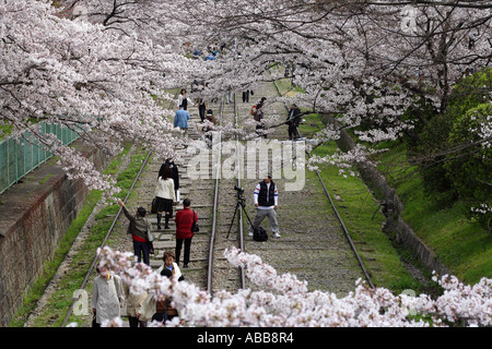 Pente Keage, Railroad Track tourné Sentier de randonnée, Kyoto, Japon pendant la saison des cerisiers en fleur Banque D'Images