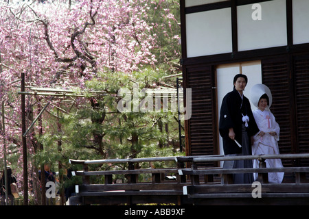 Couple de mariage traditionnel japonais et fleurs de cerisier dans Shin-en jardin à l'intérieur de Sanctuaire Heian, Kyoto, Japon Banque D'Images