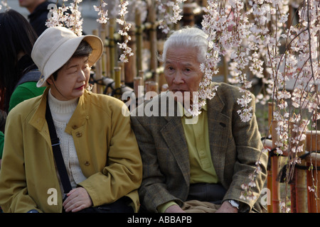 Elderly Japanese Couple in Maruyama Koen Park, Kyoto, Japan During the Cherry Blossom Festival Banque D'Images