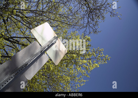 Signe et arbres Banque D'Images