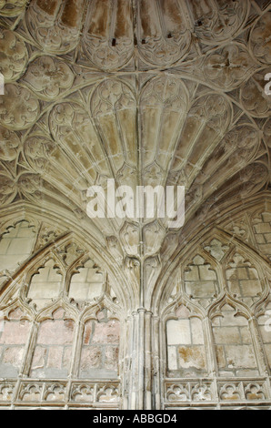 Détail de la voûte du ventilateur dans le cloître de la cathédrale de Gloucester Banque D'Images