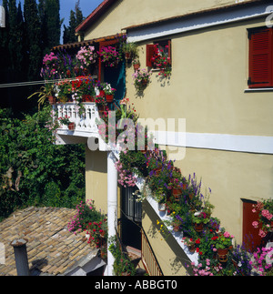 Les pots de fleurs de soleil sur des étapes maison aux tuiles en terre cuite et brown volets Sinaradhes les îles grecques Grèce CORFOU Banque D'Images