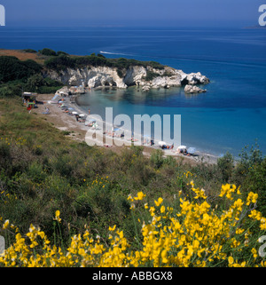 La baie de la côte ouest avec des transats parasols et fleurs jaunes en premier plan l'île de Céphalonie Plage Kalamia îles Grecques Banque D'Images