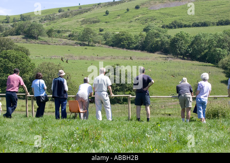 Visiteurs regardant des milans royaux de Gigrin Farm site alimentation à Rhayader Powys Pays de Galles Banque D'Images