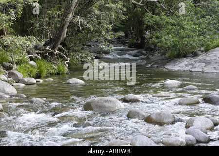 Billabong dans la forêt tropicale de Daintree, Queensland, Australie [2] Banque D'Images