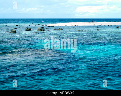 Banc de corail et d'émerger sur la Grande Barrière de Corail, Queensland, Australie Banque D'Images