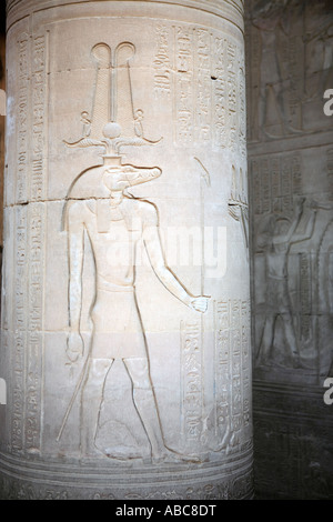 Sobek dieu crocodile sur le temple de Kom Ombo sur le nil en Haute Egypte Banque D'Images