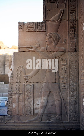 Vue d'une frise du temple de Kom Ombo sur le nil en Haute Egypte Banque D'Images