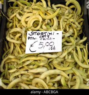 Stortini haricots sur marché Italien stall Banque D'Images