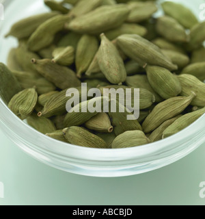 Gousses de cardamome - partie d'une série d'images d'herbes similaires Banque D'Images